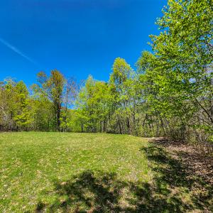 Photo #32 of 00, Stuart, VA 585.0 acres