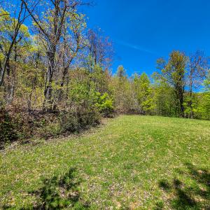 Photo #33 of 00, Stuart, VA 585.0 acres