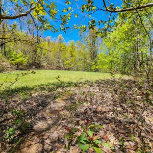 Photo #34 of 00, Stuart, VA 585.0 acres