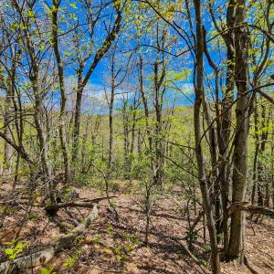 Photo #35 of 00, Stuart, VA 585.0 acres