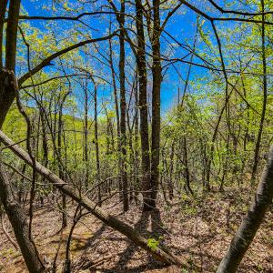 Photo #36 of 00, Stuart, VA 585.0 acres