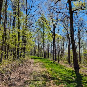 Photo #42 of 00, Stuart, VA 585.0 acres