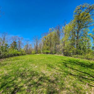 Photo #45 of 00, Stuart, VA 585.0 acres
