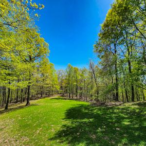 Photo #47 of 00, Stuart, VA 585.0 acres