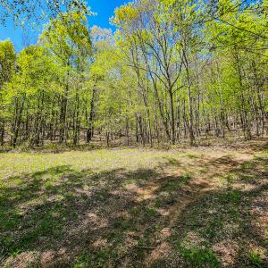 Photo #50 of 00, Stuart, VA 585.0 acres