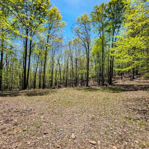 Photo #54 of 00, Stuart, VA 585.0 acres