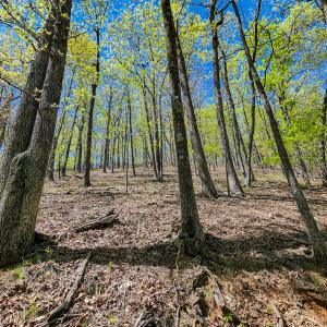 Photo #57 of 00, Stuart, VA 585.0 acres