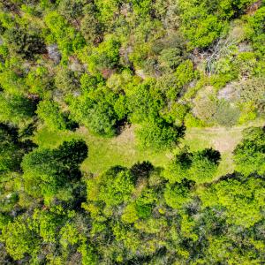 Photo #62 of 00, Stuart, VA 585.0 acres