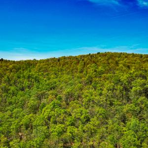 Photo #63 of 00, Stuart, VA 585.0 acres