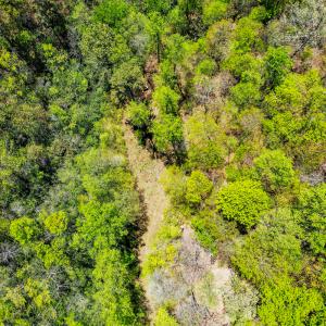Photo #67 of 00, Stuart, VA 585.0 acres