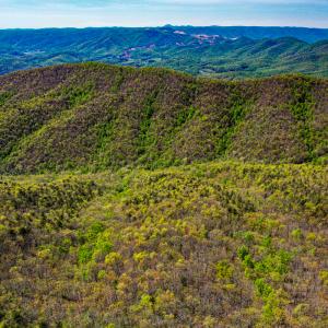 Photo #70 of 00, Stuart, VA 585.0 acres