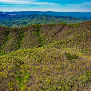 Photo #81 of 00, Stuart, VA 585.0 acres