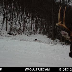 Photo #97 of 00, Stuart, VA 585.0 acres