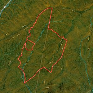 Photo #99 of 00, Stuart, VA 585.0 acres