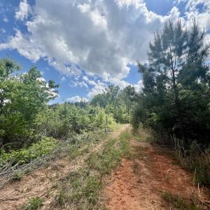Photo #3 of SOLD property in Off Buck Rd, Middlesex, NC 98.0 acres