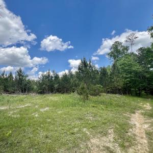 Photo #27 of SOLD property in Off Buck Rd, Middlesex, NC 98.0 acres