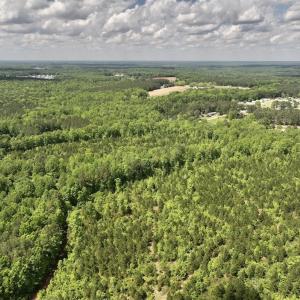 Photo #31 of SOLD property in Off Buck Rd, Middlesex, NC 98.0 acres