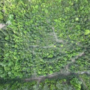 Photo #33 of SOLD property in Off Buck Rd, Middlesex, NC 98.0 acres