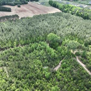 Photo #37 of SOLD property in Off Buck Rd, Middlesex, NC 98.0 acres