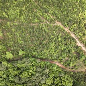 Photo #39 of SOLD property in Off Buck Rd, Middlesex, NC 98.0 acres