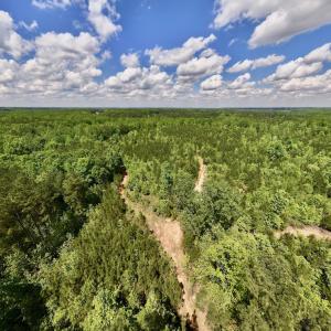 Photo #43 of SOLD property in Off Buck Rd, Middlesex, NC 98.0 acres