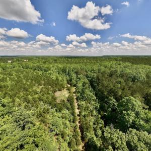Photo #47 of SOLD property in Off Buck Rd, Middlesex, NC 98.0 acres