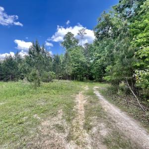Photo #7 of SOLD property in Off Buck Rd, Middlesex, NC 98.0 acres