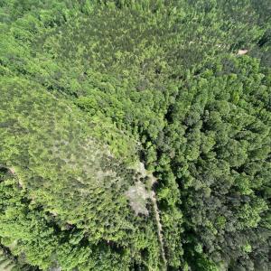Photo #49 of SOLD property in Off Buck Rd, Middlesex, NC 98.0 acres