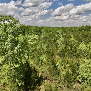 Photo #11 of SOLD property in Off Buck Rd, Middlesex, NC 98.0 acres