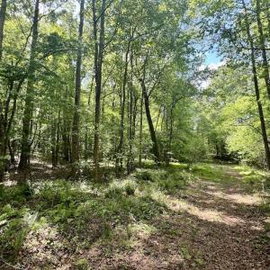 Photo #13 of SOLD property in Off Buck Rd, Middlesex, NC 98.0 acres