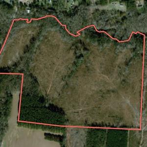 Photo #1 of SOLD property in Off Buck Rd, Middlesex, NC 98.0 acres