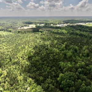 Photo #18 of SOLD property in Off Buck Rd, Middlesex, NC 98.0 acres