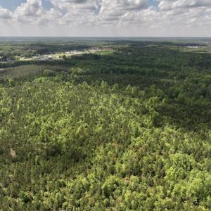Photo #22 of SOLD property in Off Buck Rd, Middlesex, NC 98.0 acres