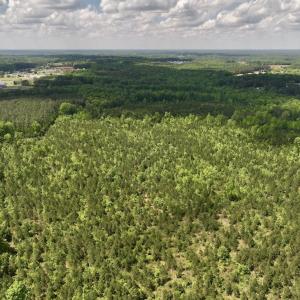 Photo #24 of SOLD property in Off Buck Rd, Middlesex, NC 98.0 acres