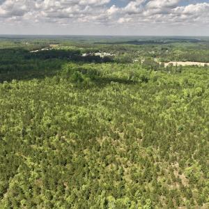 Photo #26 of SOLD property in Off Buck Rd, Middlesex, NC 98.0 acres