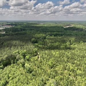 Photo #28 of SOLD property in Off Buck Rd, Middlesex, NC 98.0 acres