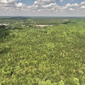 Photo #30 of SOLD property in Off Buck Rd, Middlesex, NC 98.0 acres