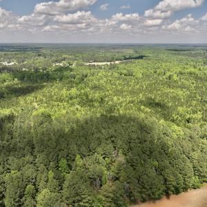 Photo #32 of SOLD property in Off Buck Rd, Middlesex, NC 98.0 acres
