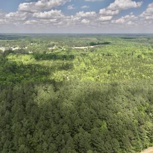 Photo #34 of SOLD property in Off Buck Rd, Middlesex, NC 98.0 acres