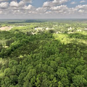Photo #36 of SOLD property in Off Buck Rd, Middlesex, NC 98.0 acres