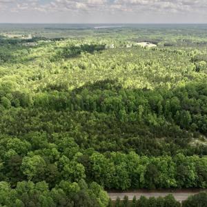 Photo #4 of SOLD property in Off Buck Rd, Middlesex, NC 98.0 acres
