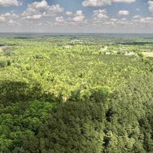 Photo #38 of SOLD property in Off Buck Rd, Middlesex, NC 98.0 acres