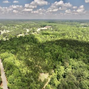 Photo #40 of SOLD property in Off Buck Rd, Middlesex, NC 98.0 acres