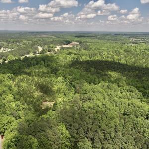 Photo #42 of SOLD property in Off Buck Rd, Middlesex, NC 98.0 acres