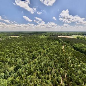 Photo #44 of SOLD property in Off Buck Rd, Middlesex, NC 98.0 acres