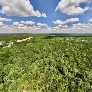 Photo #46 of SOLD property in Off Buck Rd, Middlesex, NC 98.0 acres