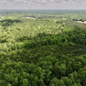 Photo #6 of SOLD property in Off Buck Rd, Middlesex, NC 98.0 acres