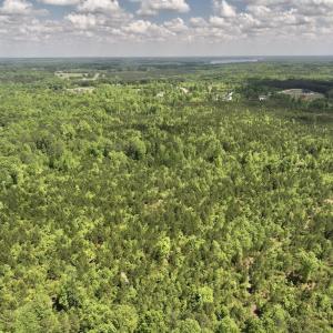 Photo #48 of SOLD property in Off Buck Rd, Middlesex, NC 98.0 acres