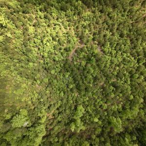 Photo #50 of SOLD property in Off Buck Rd, Middlesex, NC 98.0 acres