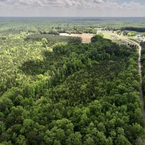 Photo #8 of SOLD property in Off Buck Rd, Middlesex, NC 98.0 acres
